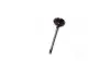 011VE30457000 Клапан OPEL IN 1,8/2,5 16v / 24V (пр-во Mahle) MAHLE / KNECHT підбір по vin на Brocar