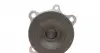 538017310 Насос водяний BMW Ruville 65021 (Вир-во INA) INA підбір по vin на Brocar
