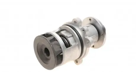 538017310 Насос водяний BMW Ruville 65021 (Вир-во INA) INA підбір по vin на Brocar