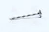 029VA30529100 Клапан випуск. Caddy III 1.4 i 04- MAHLE / KNECHT підбір по vin на Brocar