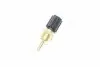 WS3041 Датчик тем-ры охл. жидкости (пр-во Vernet) VERNET підбір по vin на Brocar