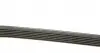 6PK1217 Ремень генератора Citroen Jumpy/Fiat Scudo/Peugeot Expert 2.0MJTD/HDi 07- (+AC) DAYCO підбір по vin на Brocar