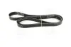 7PK2119 Ремінь генератора Land Rover/Toyota Land Cruiser 120 4.0i/4.6 94- DAYCO підбір по vin на Brocar