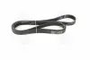 Ремень поликлиновый  7PK2225 (пр-во DAYCO)