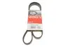 Поликлиновые ремни Micro-V  (Пр-во Gates) 5PK1297