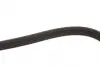 5PK1550 Пасок поліклиновий 5PK1550 GATES підбір по vin на Brocar