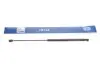 35409100010 Амортизатор багажника MAZDA (Пр-во MEYLE) MEYLE підбір по vin на Brocar