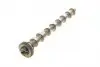 50007020 Распредвал VW Caddy III/IV/ T5/T6/ Crafter 30-50 2.0 TDI 10- (сторона впуска) KOLBENSCHMIDT підбір по vin на Brocar