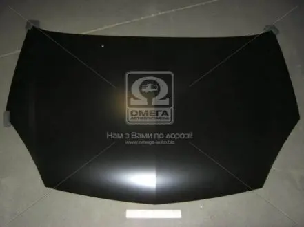 0410463280 Капот RENAULT CLIO 01-05 (пр-во TEMPEST) TEMPEST підбір по vin на Brocar