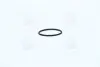 Опорное кольцо форсунки CR (пр-во Bosch) F 00R J00 220