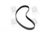 94618 Ремінь ГРМ Honda Civic 1.4i/1.5i 91-01 DAYCO підбір по vin на Brocar