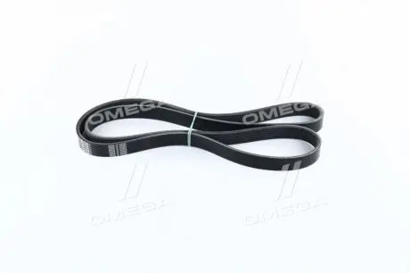 6PK1430 Ремень поликлин. 6PK1430 (пр-во DONGIL) Dongil подбор по vin на Brocar