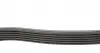 6PK1705 Ремень генератора Citroen Jumper 1.9TD 94-02 (ALT,PS,AC) DAYCO підбір по vin на Brocar