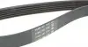 6PK1705 Ремень генератора Citroen Jumper 1.9TD 94-02 (ALT,PS,AC) DAYCO підбір по vin на Brocar