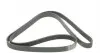 6PK1705 Ремень генератора Citroen Jumper 1.9TD 94-02 (ALT,PS,AC) DAYCO підбір по vin на Brocar