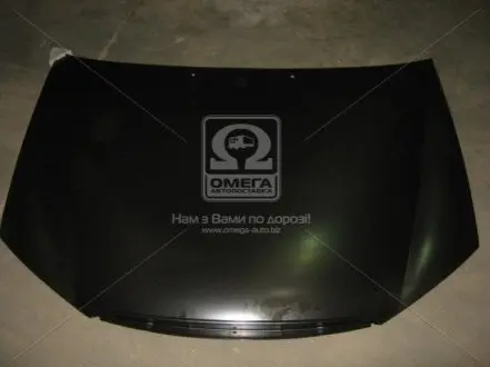 0310270280 Капот KIA CERATO 04-09 (пр-во TEMPEST) TEMPEST підбір по vin на Brocar