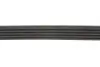 5PK1073 Ремень поликлин. 5PK1073 (пр-во Gates) GATES підбір по vin на Brocar