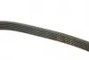 6PK1888 Ремень поликлин. 6PK1888 (пр-во Gates) GATES підбір по vin на Brocar