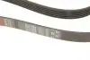 6PK1888 Ремень поликлин. 6PK1888 (пр-во Gates) GATES підбір по vin на Brocar