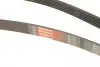 6PK1888 Ремень поликлин. 6PK1888 (пр-во Gates) GATES підбір по vin на Brocar