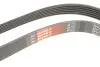 6PK1950 Ремінь поліклін. 6PK1950 (вир-во Gates) GATES підбір по vin на Brocar
