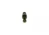 0280156347 Форсунка бензиновая BMW (пр-во Bosch) BOSCH підбір по vin на Brocar