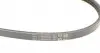 3PK765 Ремень генератора Honda Civic IV 1.6 87-91/Mazda 626 1.8-2.2 87-97 CONTITECH підбір по vin на Brocar