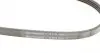 4PK698 Ремень генератора Citroen Jumper 1.9TD 94-02 (ALT) CONTITECH підбір по vin на Brocar