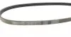 4PK800 Ремінь генератора Honda Civic VI/Nissan Primera/Citroen Berlingo 1.4-1.6 16V 94-05 (4PK800) CONTITECH підбір по vin на Brocar
