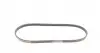 4PK805 Ремінь генератора Nissan Primera 1.6 16V 94-01/BMW 5 (F10/F07/F11)/X5 (E70/F15/F85) 4.4i 09-17 CONTITECH підбір по vin на Brocar