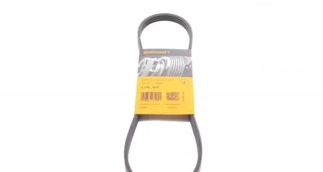4PK810 Ремень генератора Nissan Almera/Primera/Sunny (4PK810) CONTITECH подбор по vin на Brocar