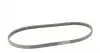 4PK826ELAST Ремінь генератора Subaru Forester/Impreza/Legacy/Outback 2.0/2.5AWD/WRX 08- CONTITECH підбір по vin на Brocar