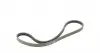 4PK860ELAST Ремень генератора BMW 3 (E46/E90)/5 (E60)/6 (E63)/X3 (E83)/X5 (E53) 03-11 CONTITECH підбір по vin на Brocar