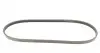 4PK870 Ремень генератора Mazda 626 83-92 (4PK870) CONTITECH підбір по vin на Brocar