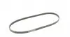 4PK895 Ремінь генератора Honda CR-V 2.0 16V 4WD 95-02/Subaru Forester/Impreza/Legacy 1.5-2.5 92-09 CONTITECH підбір по vin на Brocar