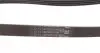 4PK917ELAST Ремень генератора BMW 3 (E46)/X3 (E83) 01-07/Fiat Stilo 1.6 16V 01-08 CONTITECH підбір по vin на Brocar