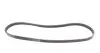 4PK917ELAST Ремень генератора BMW 3 (E46)/X3 (E83) 01-07/Fiat Stilo 1.6 16V 01-08 CONTITECH підбір по vin на Brocar