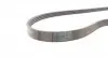 4PK962 Ремень генератора Fiat Brava 1.6 16V 95-01/Peugeot 205/305 83-89/Renault Espace/Laguna 3.0 96-01 CONTITECH підбір по vin на Brocar