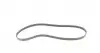 4PK962 Ремень генератора Fiat Brava 1.6 16V 95-01/Peugeot 205/305 83-89/Renault Espace/Laguna 3.0 96-01 CONTITECH підбір по vin на Brocar