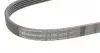 5PK1030 Ремень генератора Mazda 323/626 1.8-2.0 97-02/Opel Astra G/Vectra B/C 2.0/2.2 00-08 CONTITECH підбір по vin на Brocar