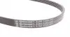5PK1255 Ремень генератора Peugeot Partner 1.4-1.6 16V 96-15/ Toyota Avensis/ Corolla2.0 D-4D 03-09 CONTITECH підбір по vin на Brocar