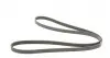 5PK1745 Ремінь генератора Kia Cerato/Rio 1.5-1.6 CRDI 05-/MB A-class (W169/W176) 1.8-2.2CDI 04-18 CONTITECH підбір по vin на Brocar