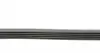 5PK1850 Ремінь генератора BMW 5 (E39)/7 (E38) 2.5TDS 96-04/Kia Cerato/Rio/Hyundai Accent 1.5/1.6CRDI 05- CONTITECH підбір по vin на Brocar