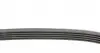 5PK830 Ремень генератора Opel Omega B 2.5DTI 01-03 CONTITECH підбір по vin на Brocar
