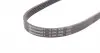5PK836 Ремінь генератора BMW 3 (E46)/5 (E39) 1.8D/2.0D 98-03 (5PK836) CONTITECH підбір по vin на Brocar