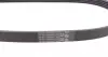 5PK836 Ремінь генератора BMW 3 (E46)/5 (E39) 1.8D/2.0D 98-03 (5PK836) CONTITECH підбір по vin на Brocar