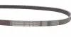 5PK884 Ремень генератора Ford Fiesta 1.8 DI 95-02/Toyota Rav4 2.0D 4WD 01-05 CONTITECH підбір по vin на Brocar