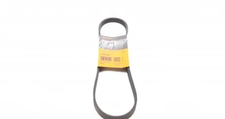 5PK884 Ремінь генератора Ford Fiesta 1.8 DI 95-02/Toyota Rav4 2.0D 4WD 01-05 CONTITECH підбір по vin на Brocar