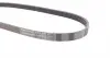 5PK890 Ремінь генератора BMW 3 (E36)/5 (E34/E39) 2.0/2.5i 90-00/Ford Focus 2.5 05-12/Volvo C30/C70 04-13 CONTITECH підбір по vin на Brocar