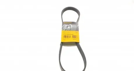 6PK1019ELAST Ремень генератора Ford Fiesta/Focus CONTITECH підбір по vin на Brocar